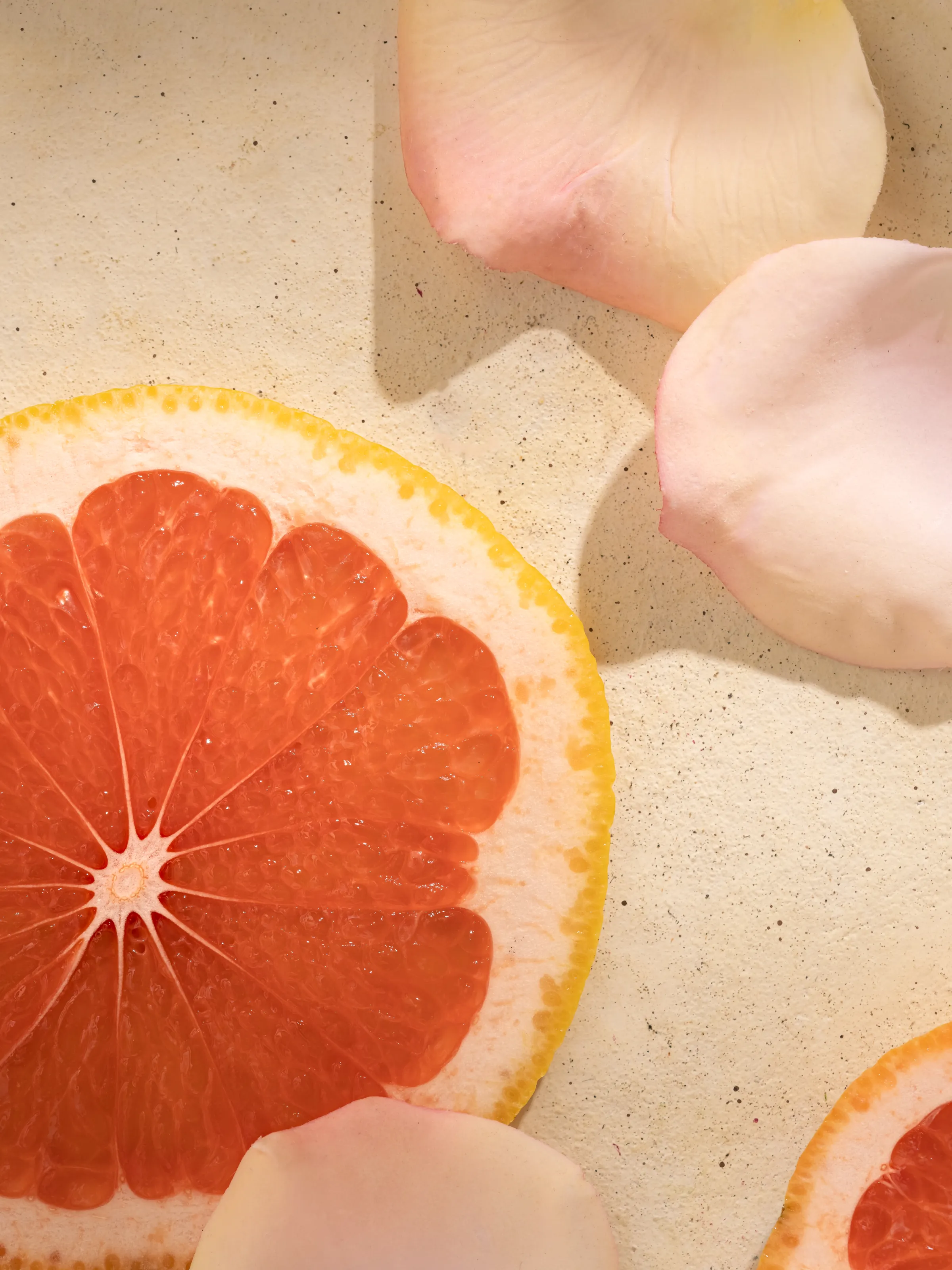 Citrus Rose