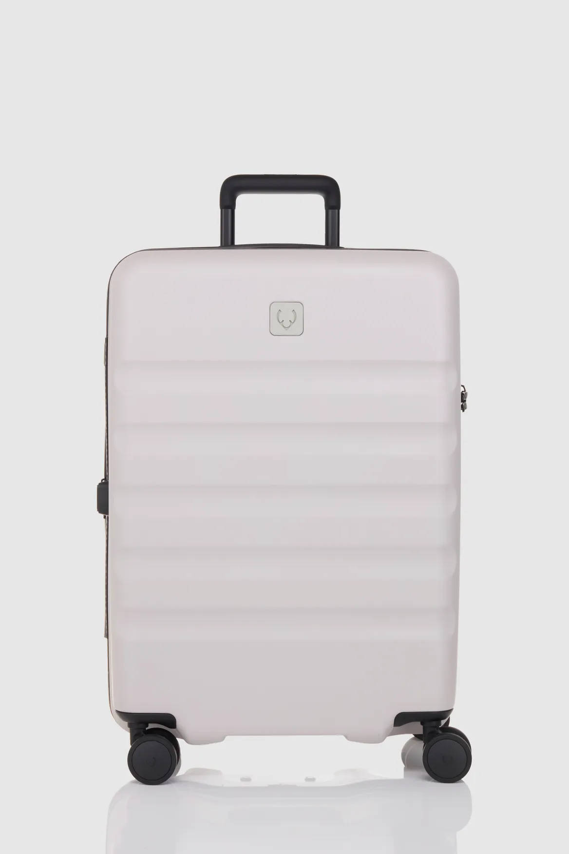 Icon Stripe 66cm Suitcase
