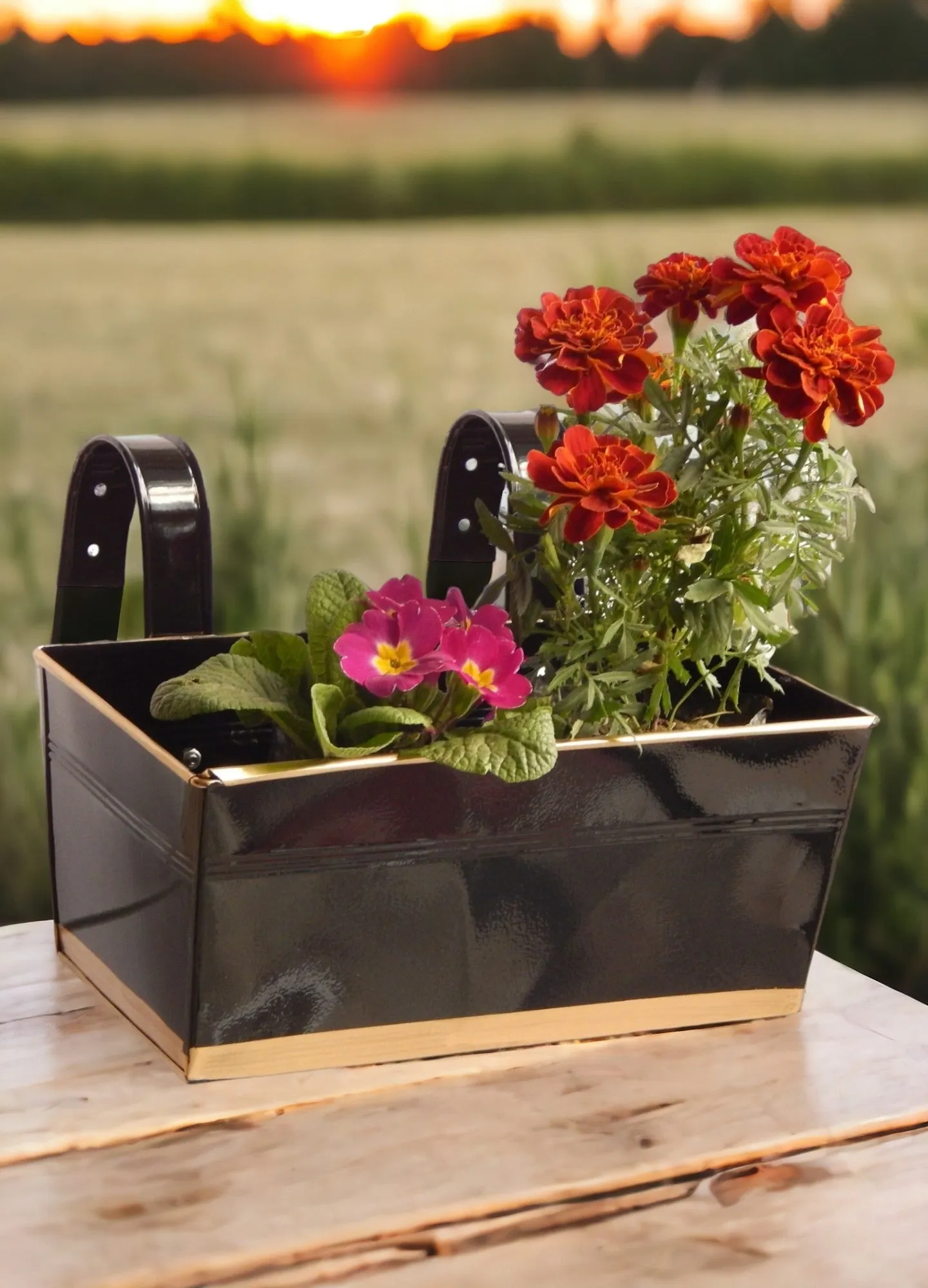 Premium Metal Design Rectangle Balcony Hanging Planters Flowers Not Included | Set Of 3