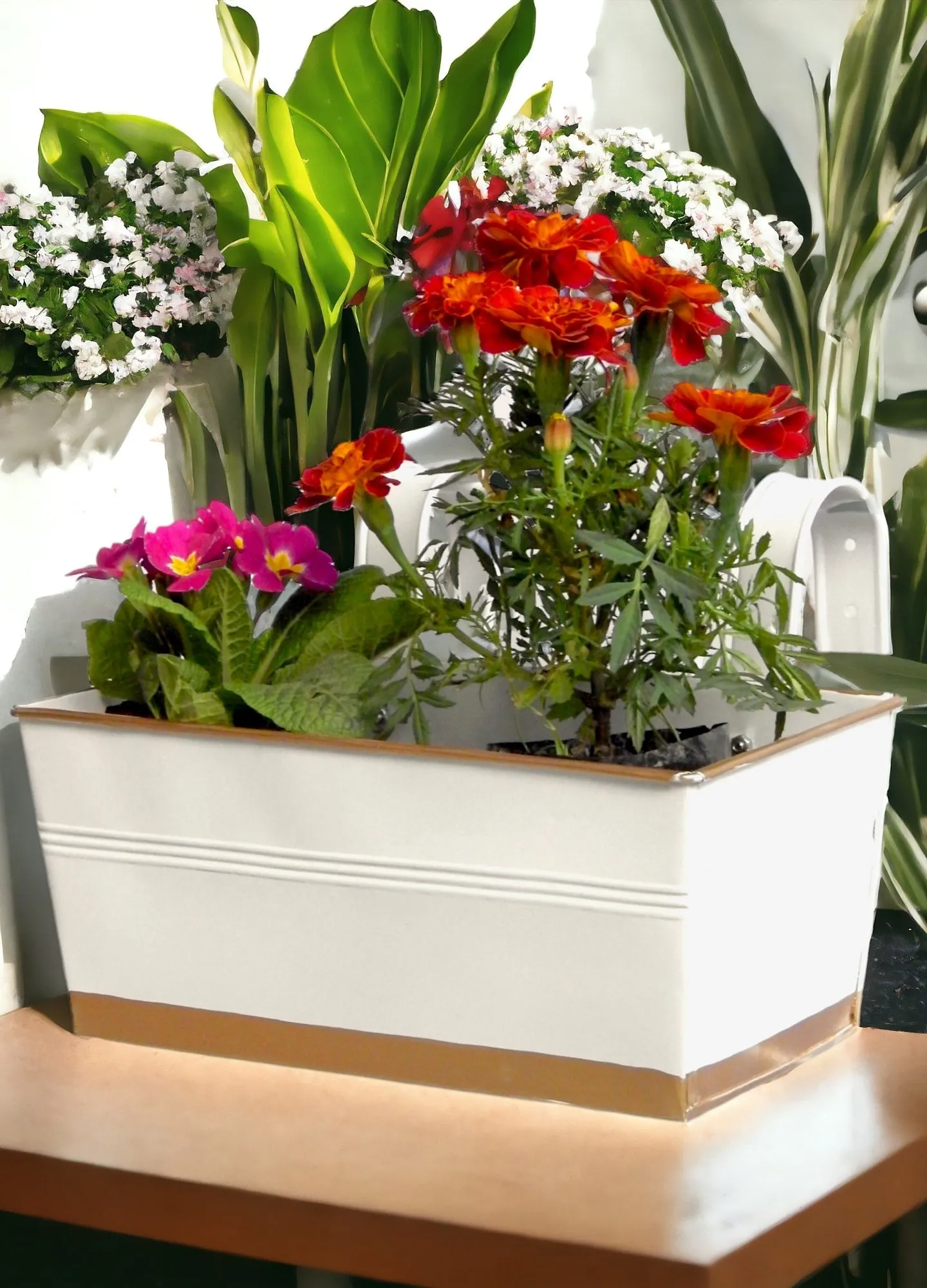 Premium Metal Design Rectangle Balcony Hanging Planters Flowers Not Included | Set Of 3